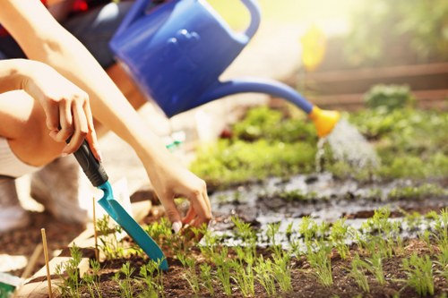 Illustration of gardening tools and a clipboard representing a cookie policy for garden maintenance in Seven Kings