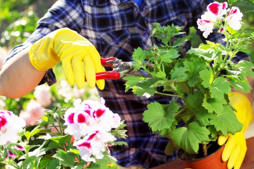Garden maintenance team inspecting a residential front garden
