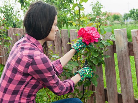 Gardeners discussing safety beside equipment