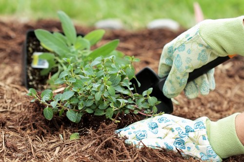 Seven Kings lawn care equipment and tools