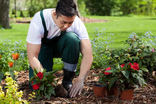 Team performing hedge trimming in a residential garden