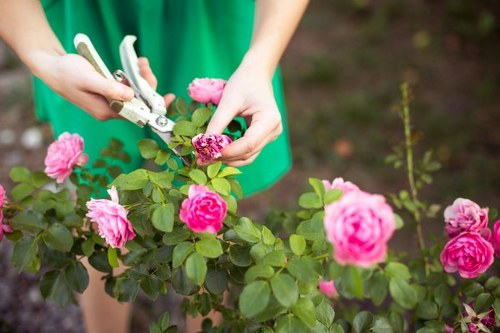 Close-up of a gardener pruning a shrub in a Seven Kings property