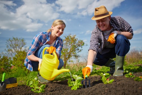 Seasonal lawn care activities in Seven Kings